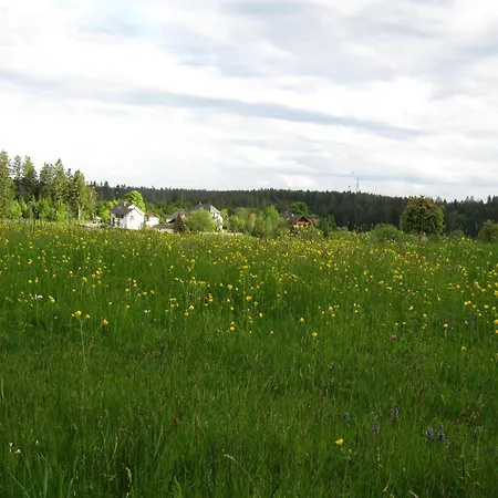 Apartamento Haus Schoenblick *