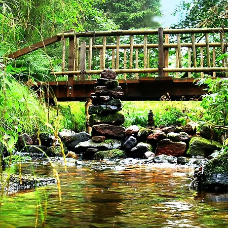 Haus Schoenblick * Kniebis