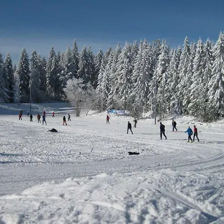 Haus Schoenblick Kniebis