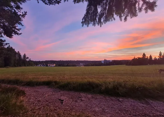 Haus Schoenblick Kniebis