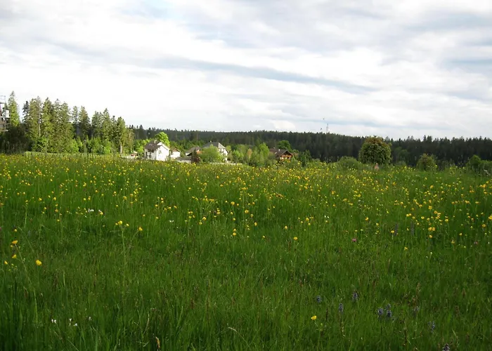 Appartamento Haus Schoenblick *