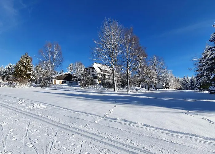 Haus Schoenblick Appartamento Kniebis