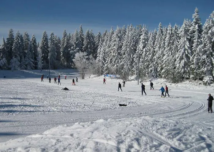 Haus Schoenblick Kniebis